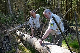 zwei Männer an einem umgefallenen Baum im Wald