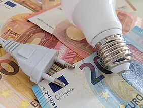 Eine Glühlampe liegt neben einem Netzstecker auf mehreren verschiedenen Geldscheinen